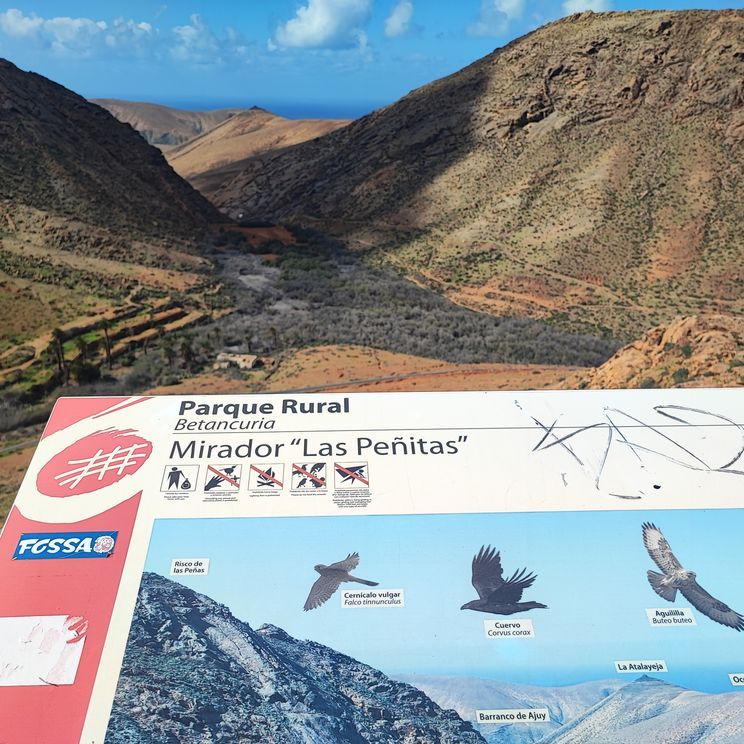 Mirador Risco de las Peñas auf Fuerteventura, Kanarische Inseln