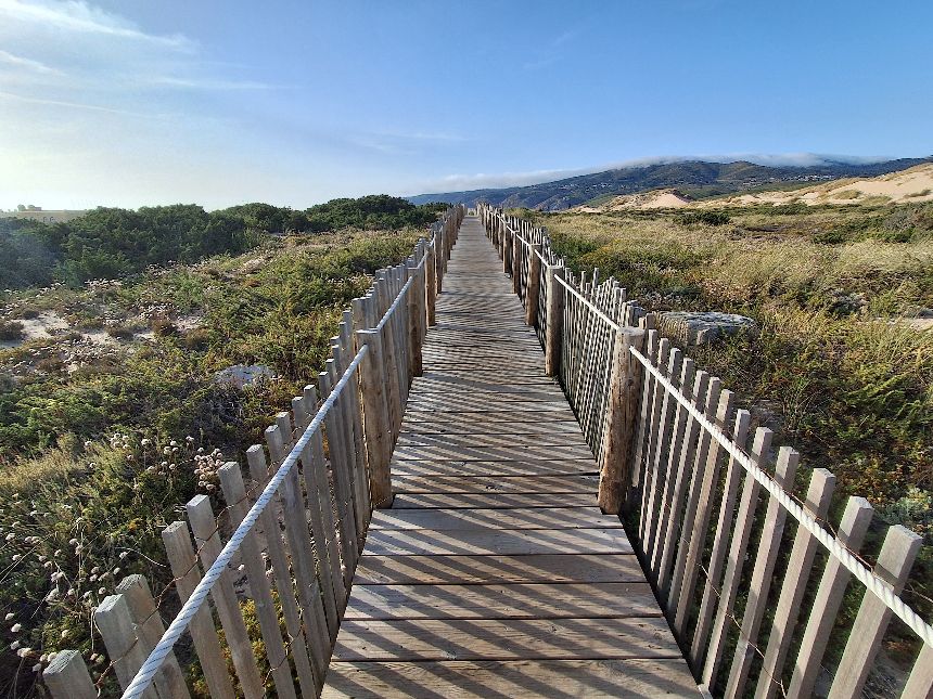 Dünen bei Praia do Guincho, Portugal