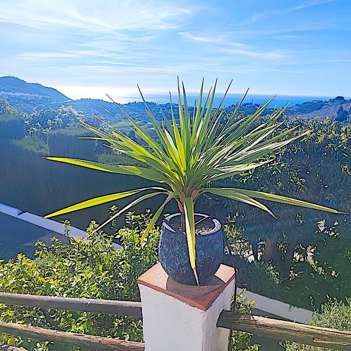 La Posada Morisca in Frigiliana, Andalusien