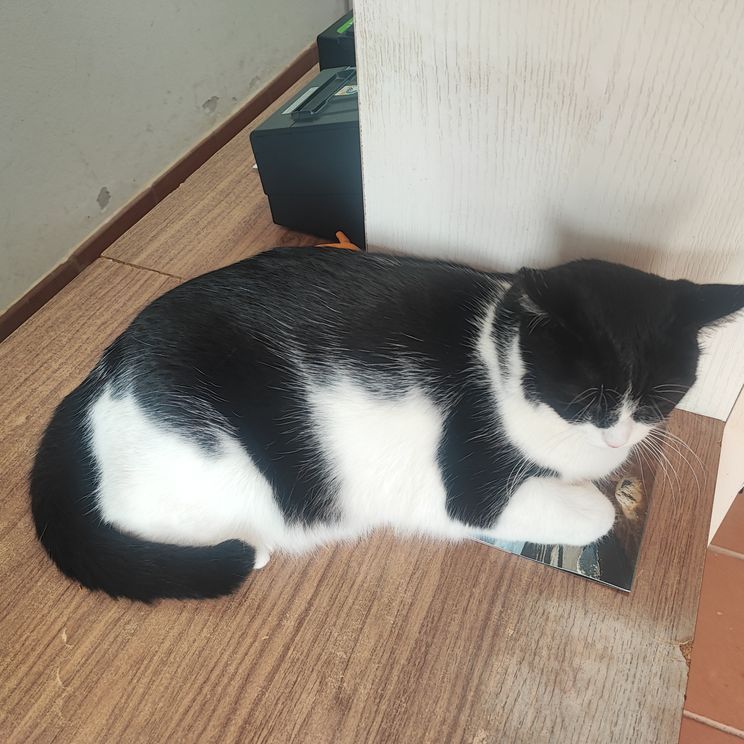 Museo del Queso in Antigua, Fuerteventura