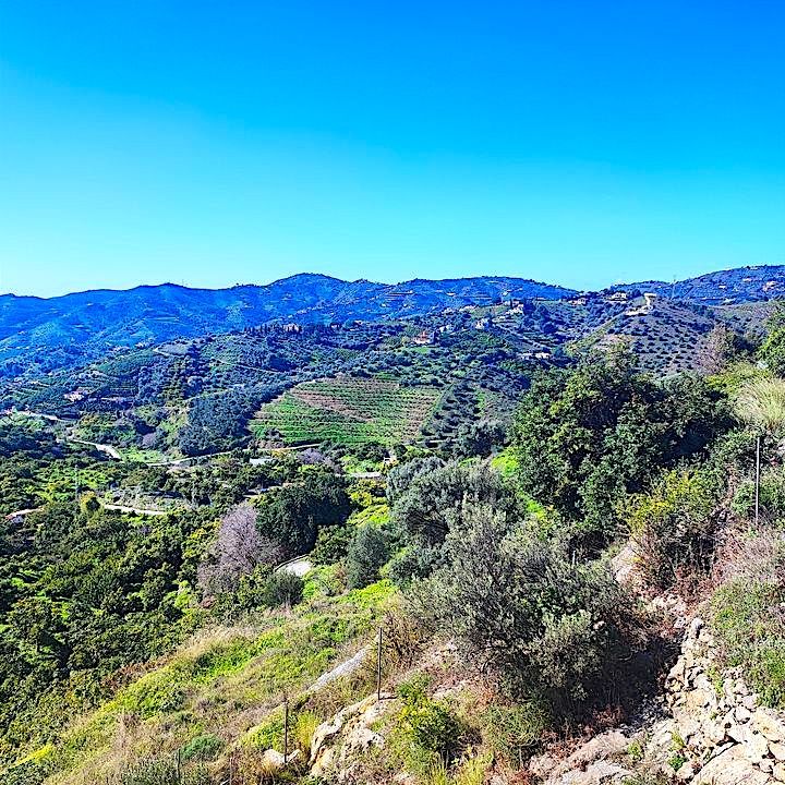 Gegend bei Frigiliana in Andalusien, Spanien