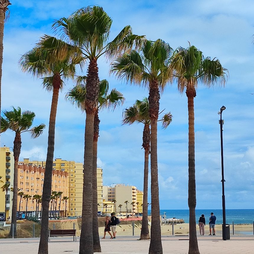 Cádiz in Andalusien, Spanien