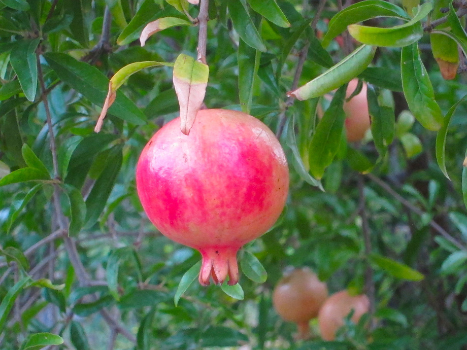Kinsterna Hotel in Monemvasia, Greece