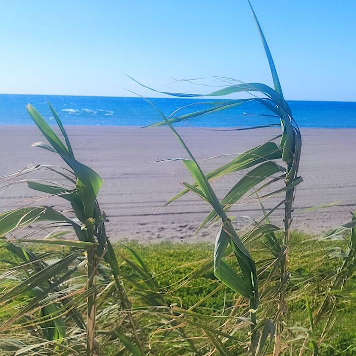 Beach in Rincón de la Victoria, Andalusia