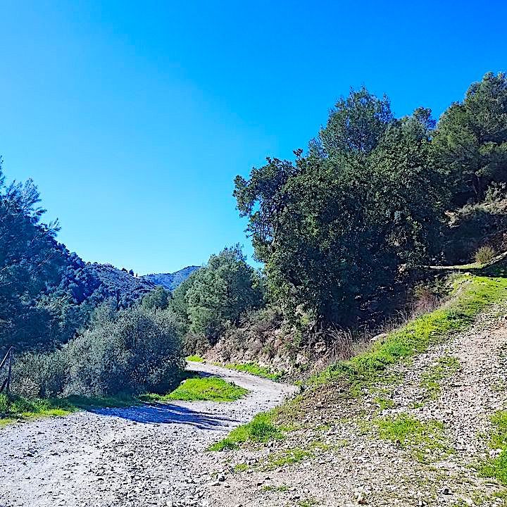 Wanderweg bei El Acebuchal in Andalusien