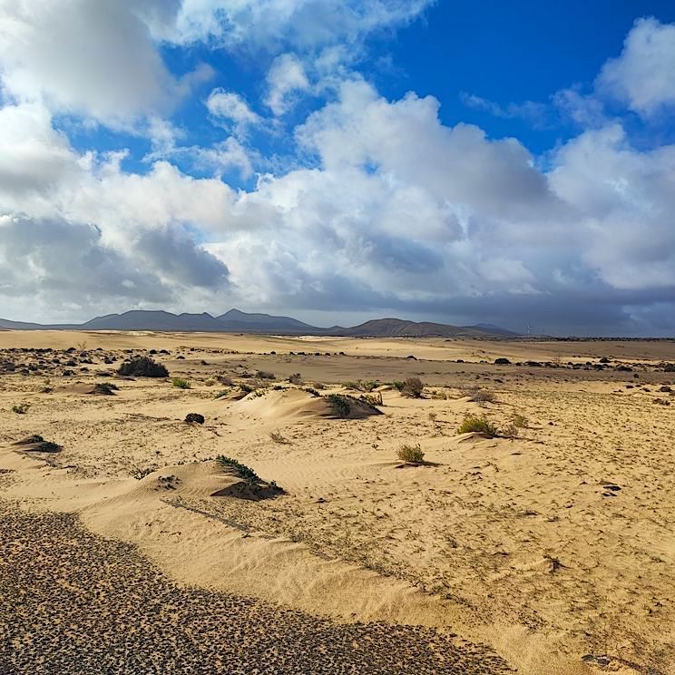 Naturpark Corralejo, Fuerteventura