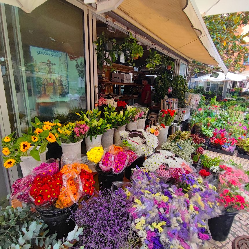 Blumenmarkt in Cádiz, Spanien