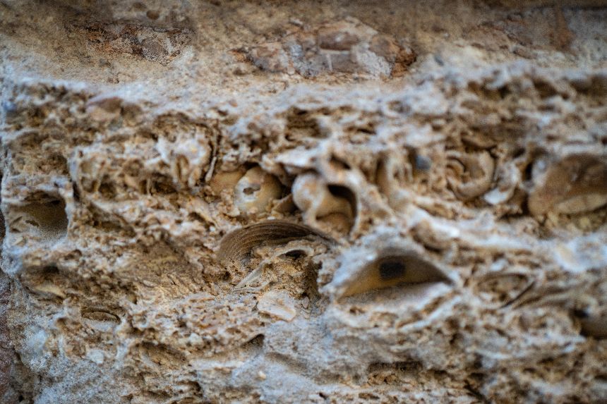 Austernstein in Cádiz, Spanien